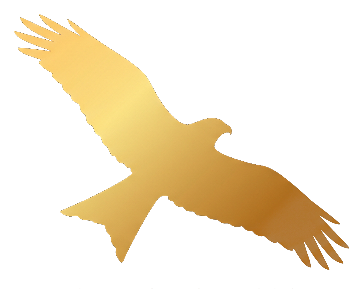 The AI Consultant kite logo